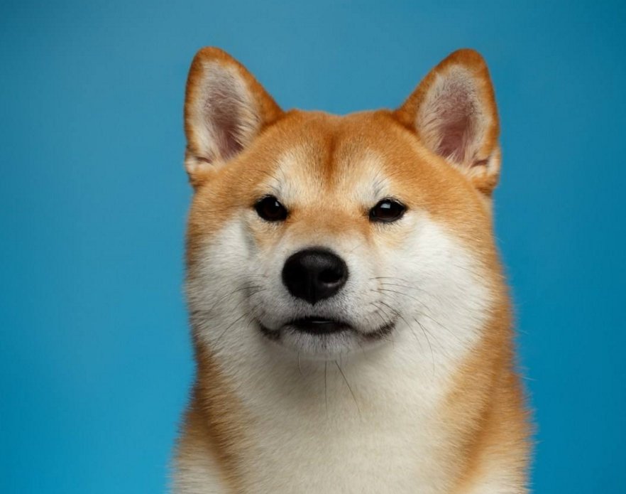 东北人口中的咔咔的是什么意思？