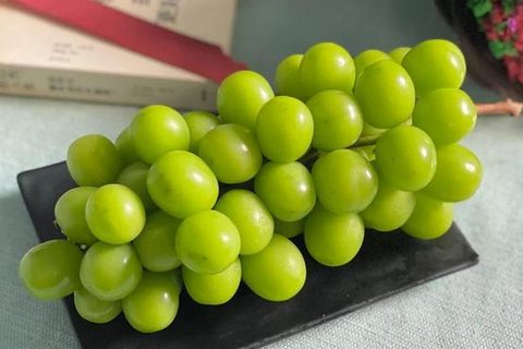 晴王葡萄每斤从200多元跌到10多元，价格跳水的原因是什么？