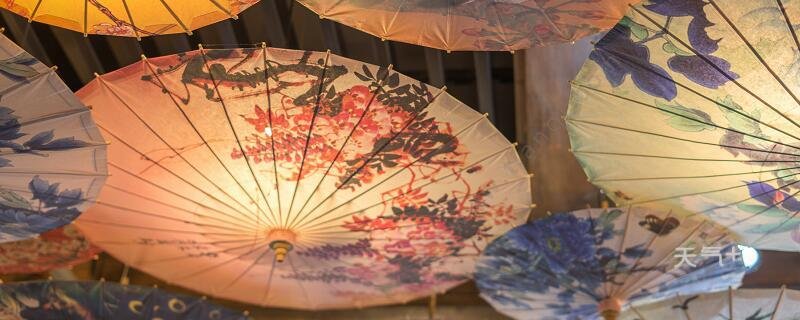 人们口中的小雨伞是什么？