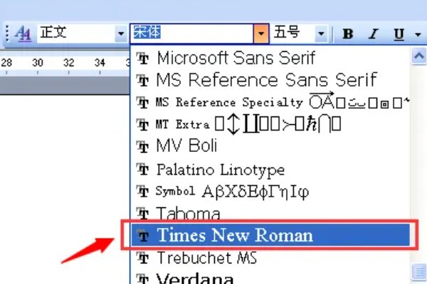 什么是新罗马字体？
