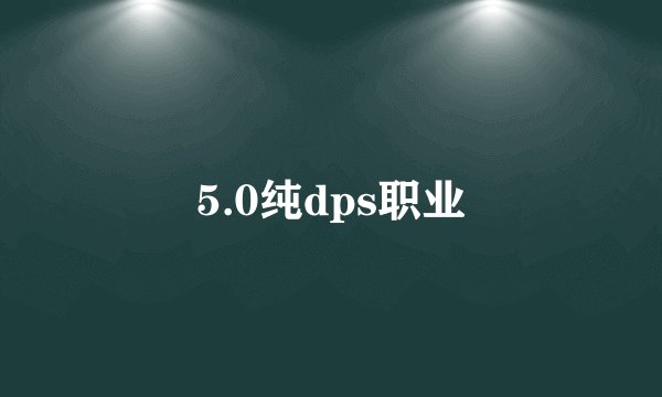 5.0纯dps职业