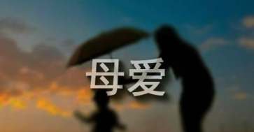 我尝到了母爱的滋味作文
