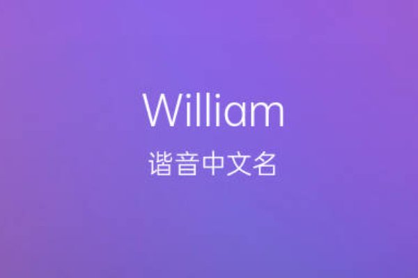 wille是什么意思