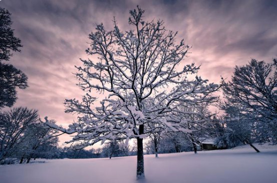 冬至日照是什么小时什么分钟？