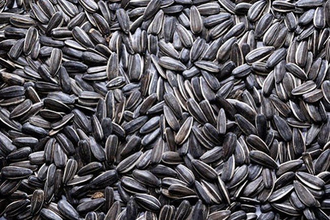 一个黑孩从不开口，一旦开口，掉出舌头，谜底是什么