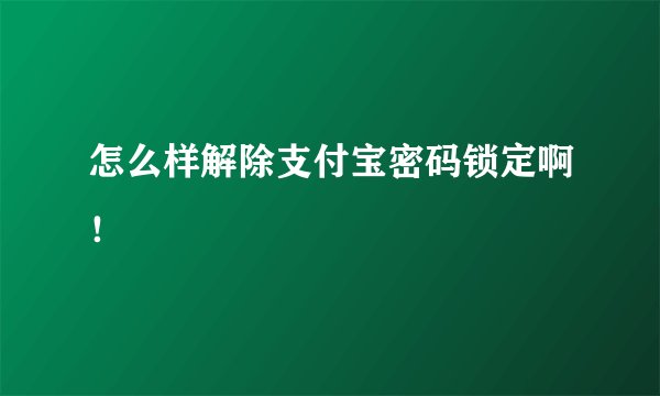 怎么样解除支付宝密码锁定啊！