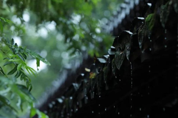 描写丝丝细雨的诗句