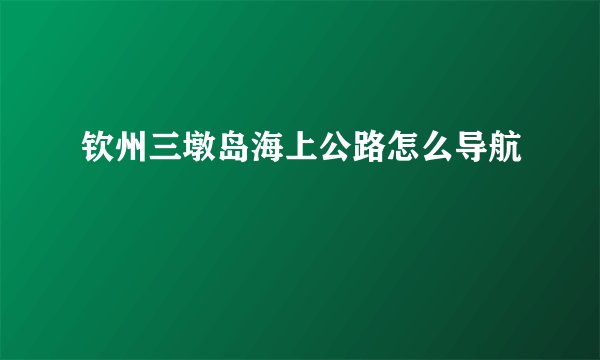钦州三墩岛海上公路怎么导航