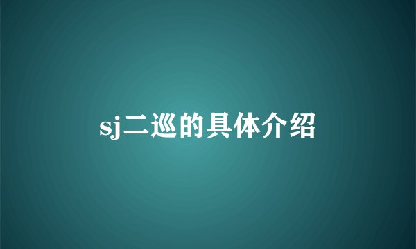 sj二巡的具体介绍