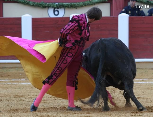 艾尔胡利的介绍