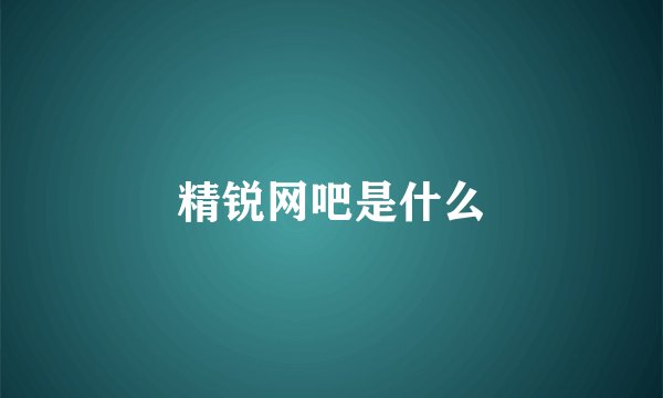 精锐网吧是什么