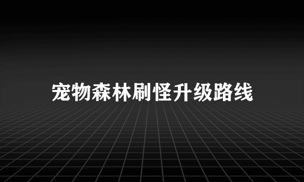 宠物森林刷怪升级路线