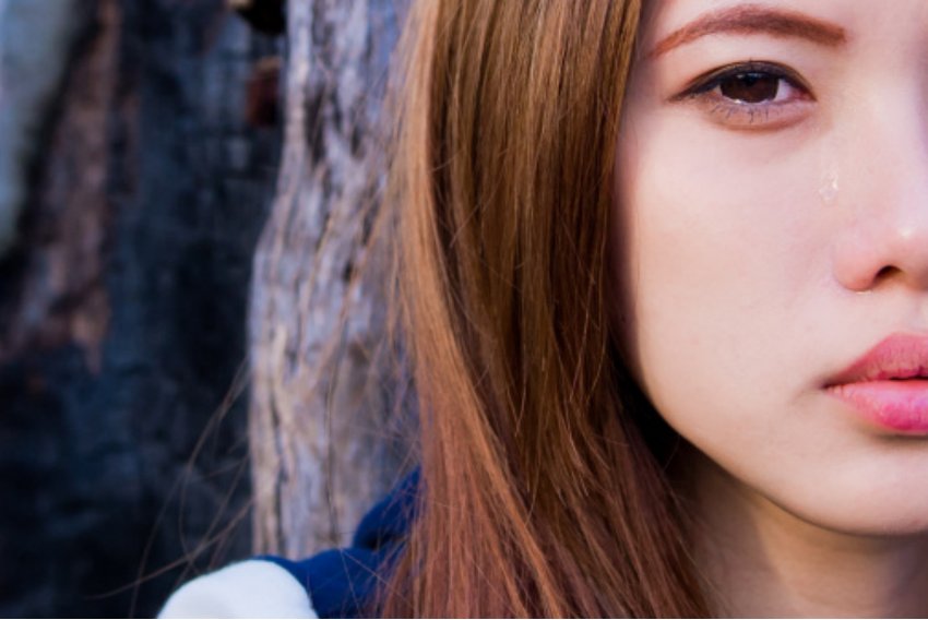 泫然流涕比喻什么动物