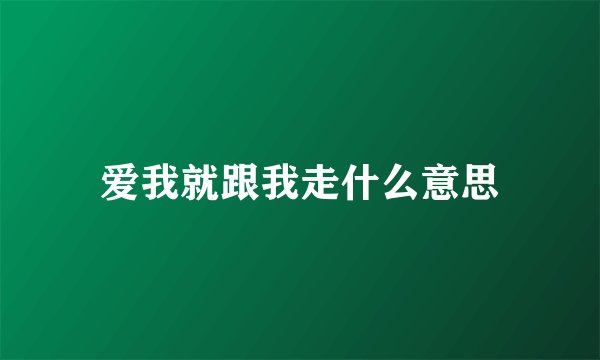 爱我就跟我走什么意思