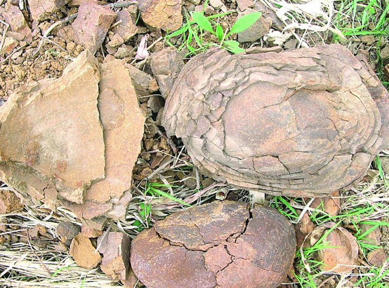 中风化 和强风化是什么意思 请解说一些