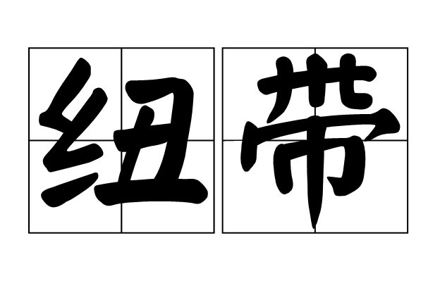 纽带是什么意思
