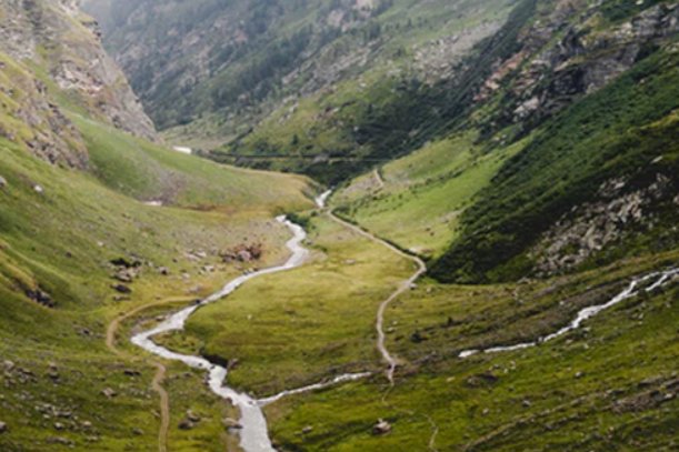 一衣带水是什么动物