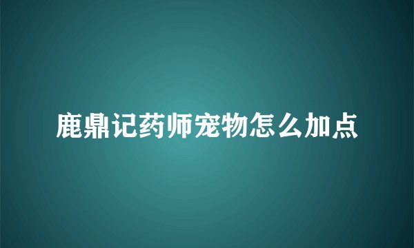 鹿鼎记药师宠物怎么加点