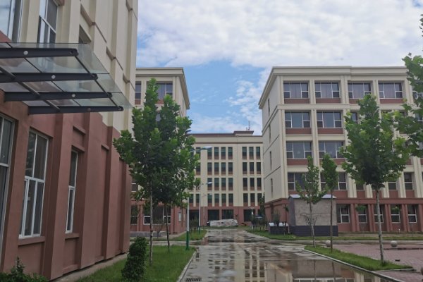 石家庄科技信息职业学院怎么样