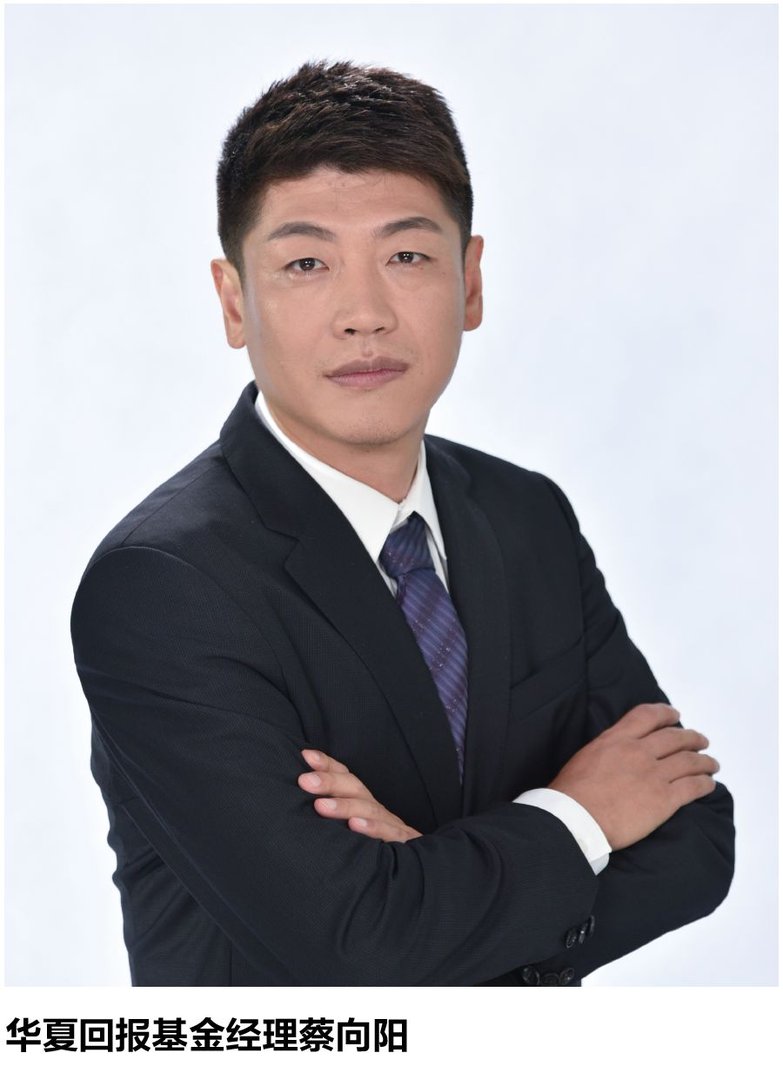 蔡向阳怎么死的