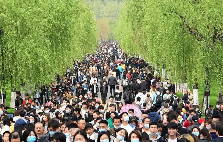 纷沓而来怎么读