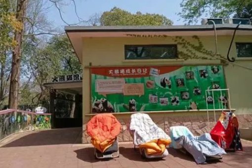 300名员工和动物一起隔离60天，他们是如何生活的？