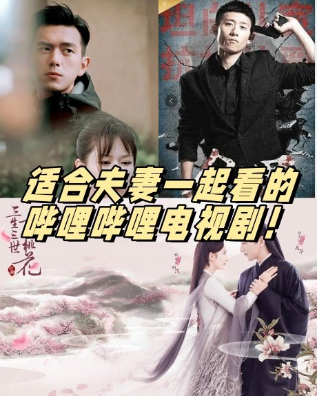 适合夫妻一起看的哔哩哔哩电视剧