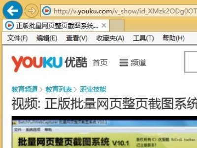 如何重新安装带这个flash.ocx的程序？