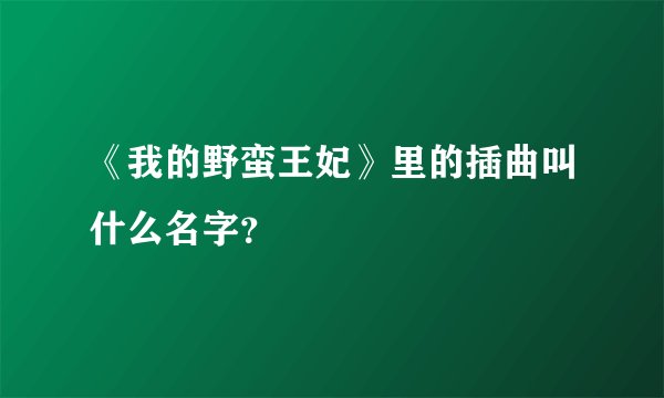 《我的野蛮王妃》里的插曲叫什么名字？