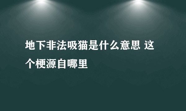 地下非法吸猫是什么意思 这个梗源自哪里