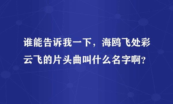 谁能告诉我一下，海鸥飞处彩云飞的片头曲叫什么名字啊？