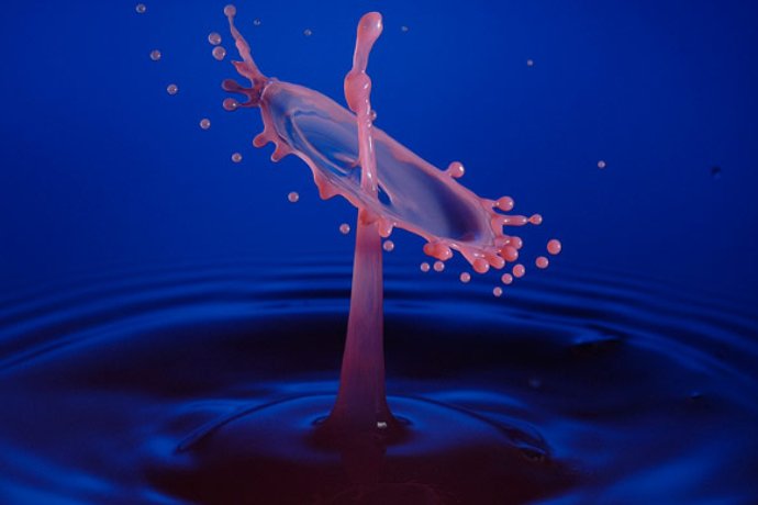 水乳交融什么啥意思