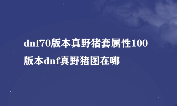 dnf70版本真野猪套属性100版本dnf真野猪图在哪