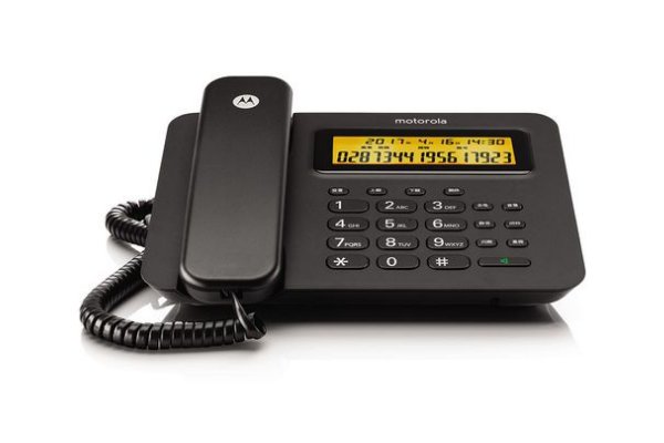 0538是哪个城市的区号