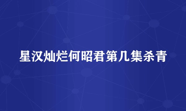 星汉灿烂何昭君第几集杀青