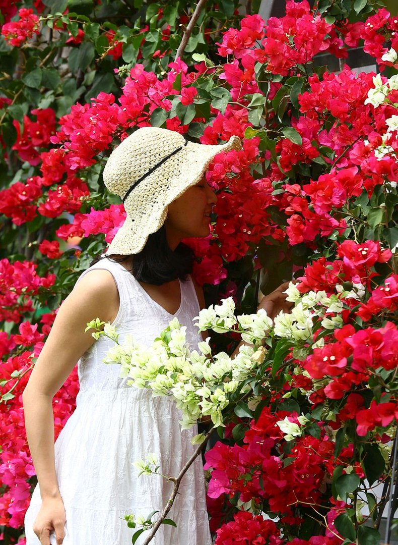 暖风熏得游人醉，求下联