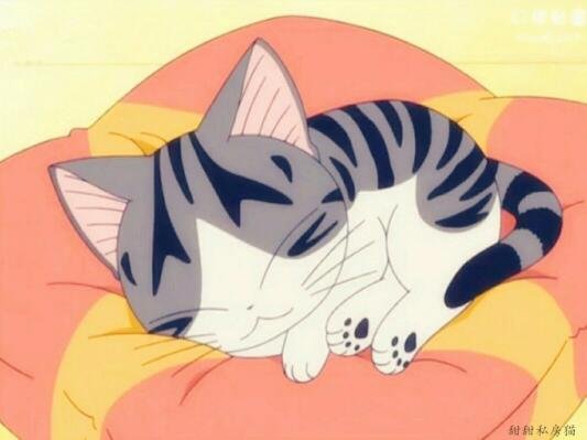 谁有甜甜私房猫的超级萌图？