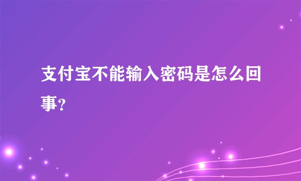 支付宝不能输入密码是怎么回事？