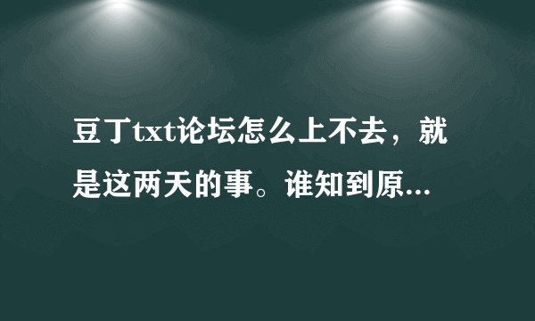 豆丁txt论坛怎么上不去，就是这两天的事。谁知到原因 感激不尽