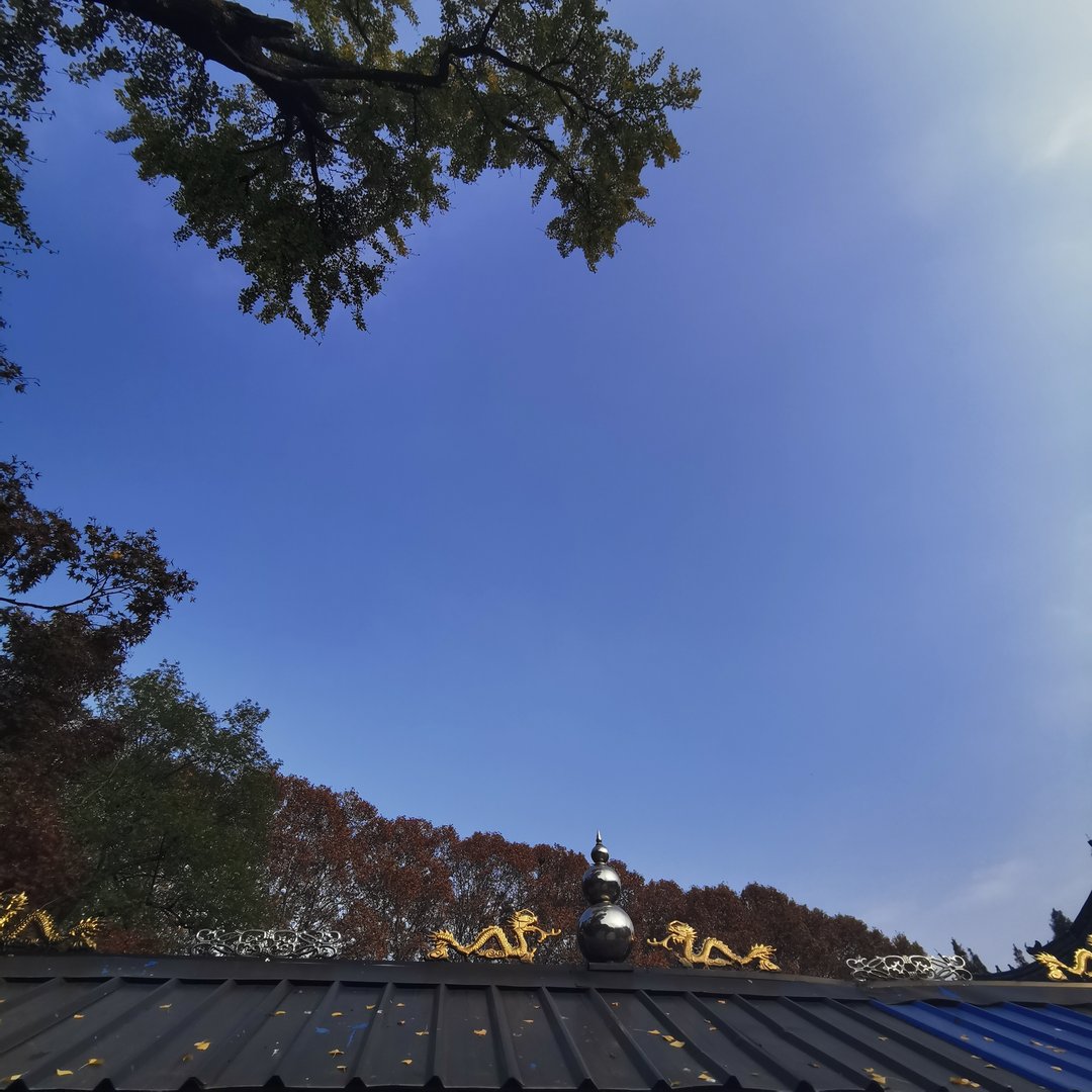 十二生肖中乾坤指什么动物?