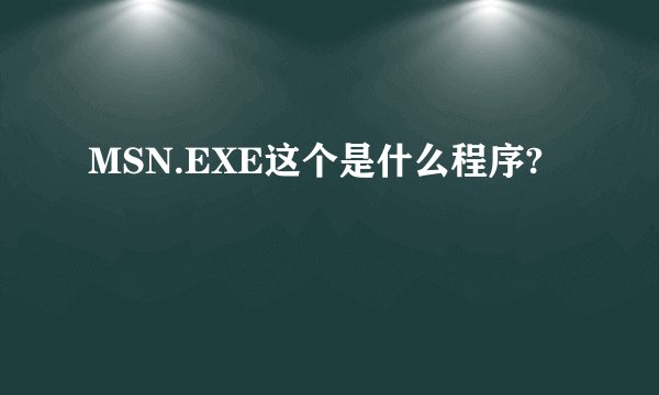 MSN.EXE这个是什么程序?