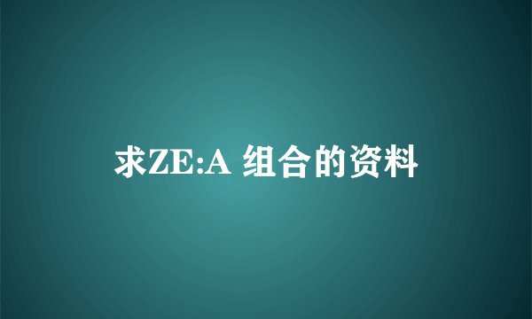 求ZE:A 组合的资料