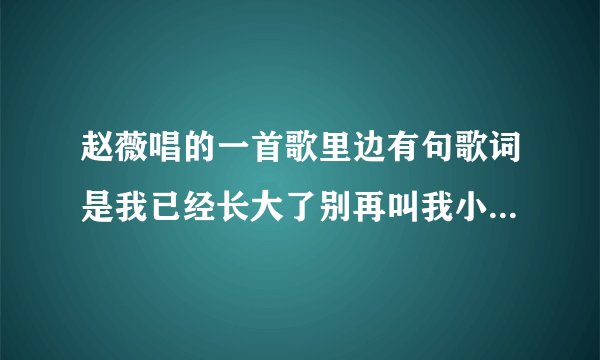 赵薇唱的一首歌里边有句歌词是我已经长大了别再叫我小朋友,歌名是什么