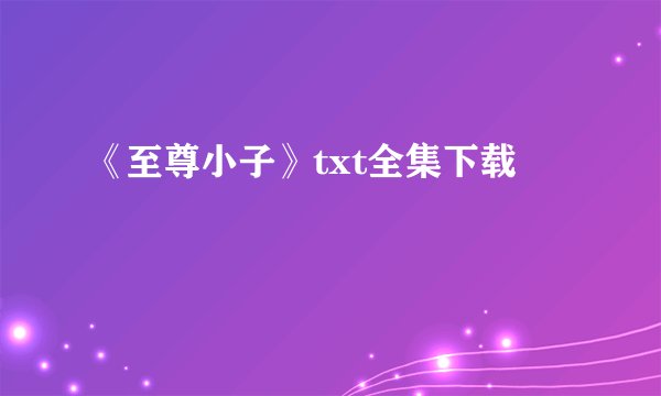 《至尊小子》txt全集下载