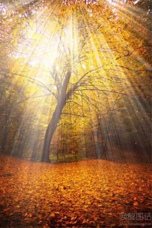 往事不可追的意思是什么？