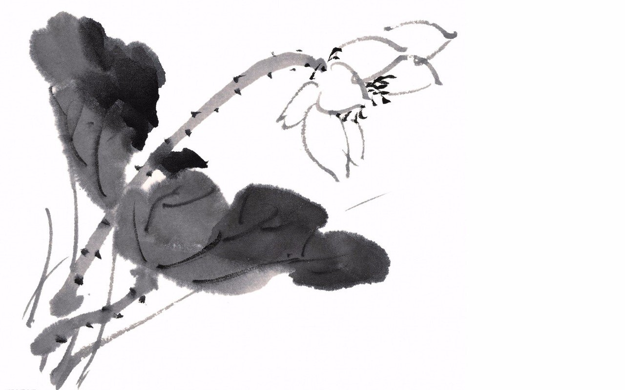 接天莲叶无穷碧,映日荷花别样红是谁写的?