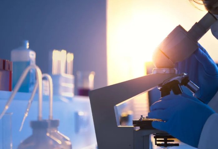 科学研究是以什么为基础的