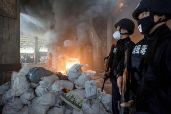 中国获得无毒国美誉近30年是什么时候