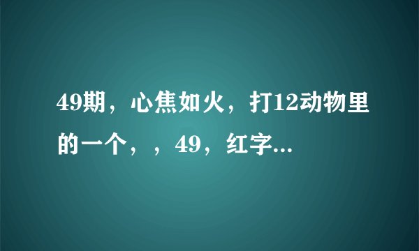 49期，心焦如火，打12动物里的一个，，49，红字久别重逢，打12动物的一个