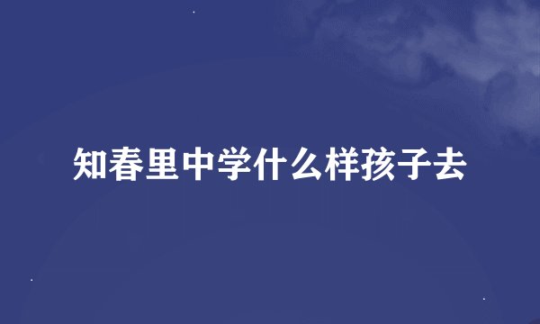 知春里中学什么样孩子去